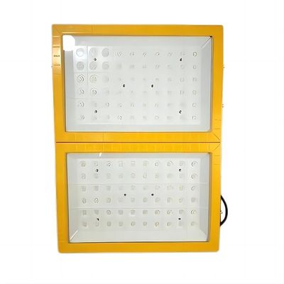 qualità  Aluminum 300W LED professional ex lamp die-casting proof + tempered glass NEYSA ATEx CLEx ccc anti Ignition Explosion Proof Flood Light 5 Years Warranty fabbrica